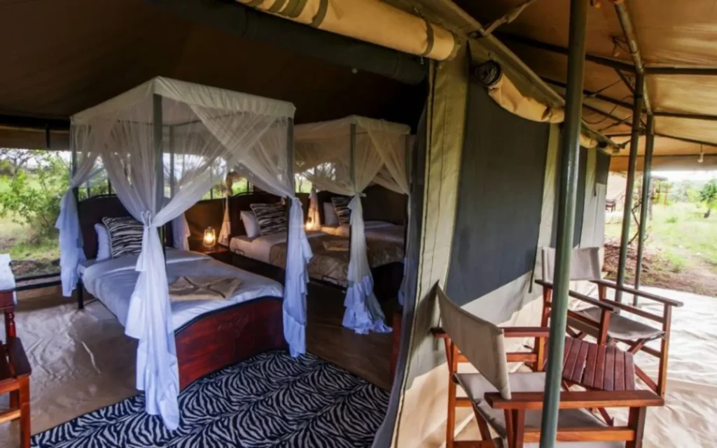 Acacia Migration Camp Inside
