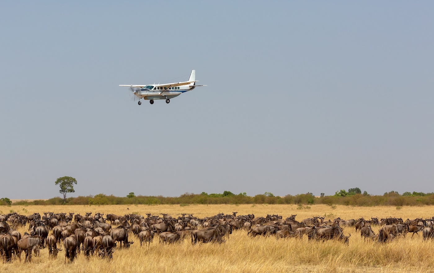 Tanzania Fly-In Safari by SeeEndless Adventures