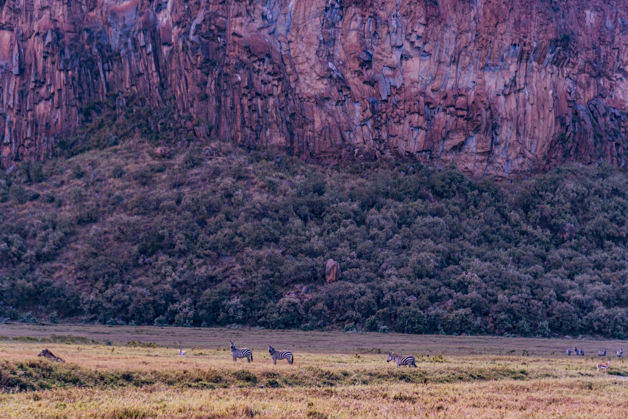 great East African Rift Valley