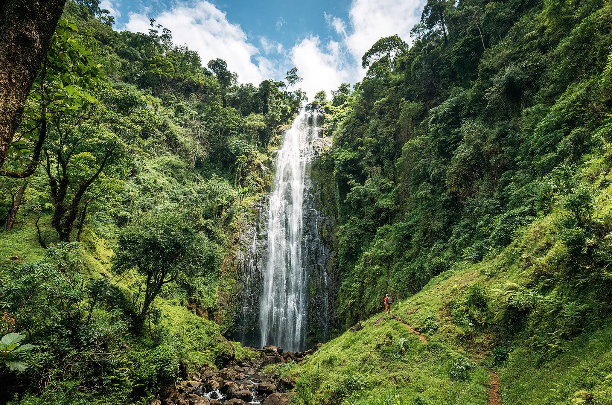 Materuni Waterfall & Coffee Tour