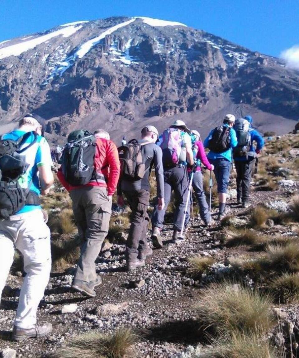 Mount-Kilimanjaro-Trekking-Hiking