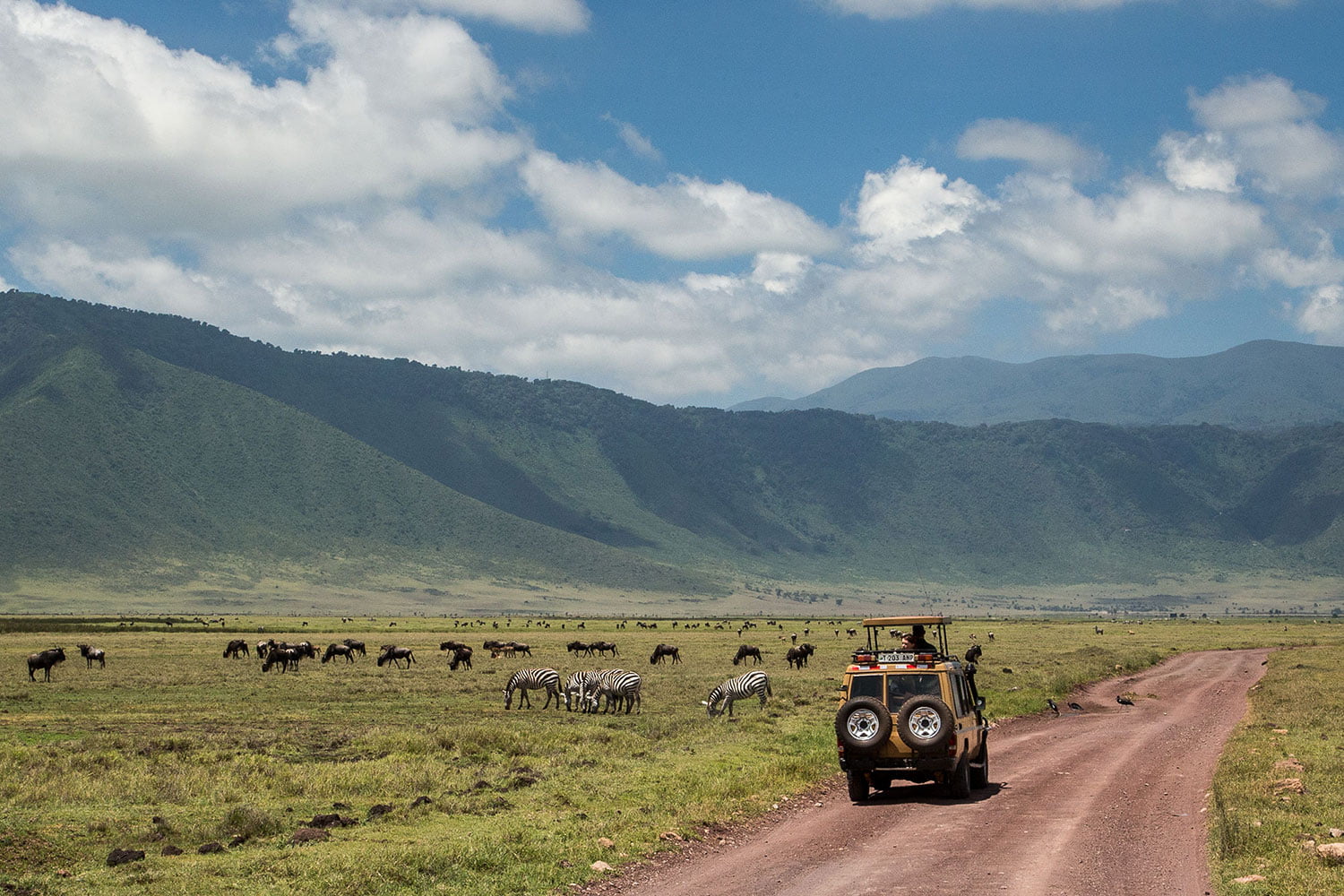 Ngorongoro-Crater game drive