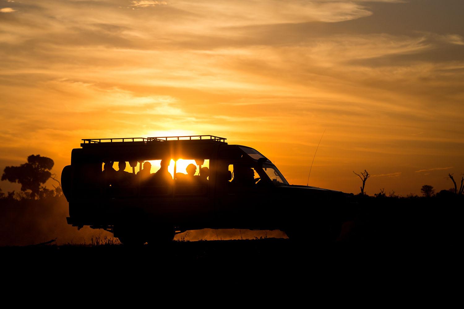 Night Game Drive