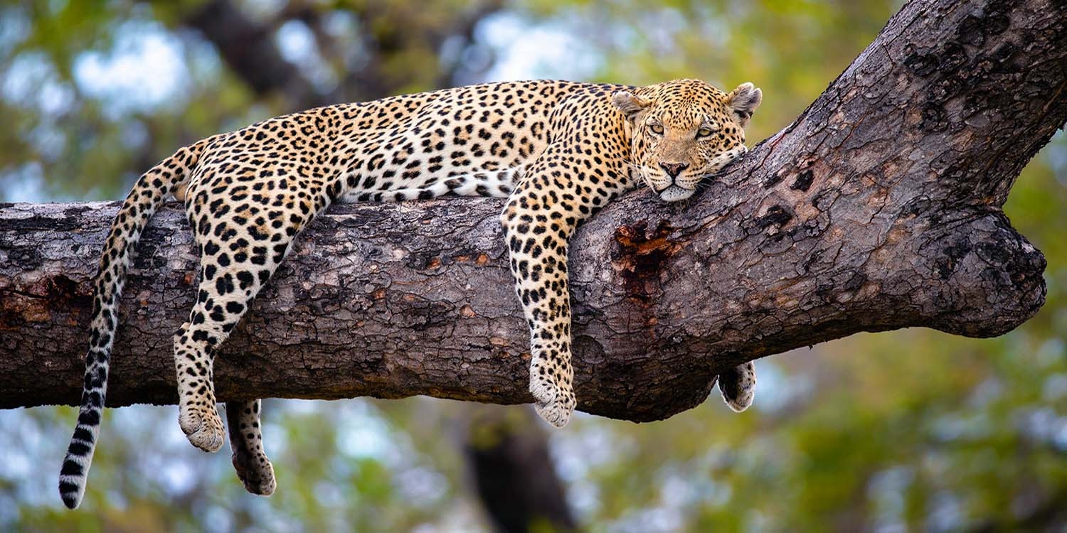 Serengeti National Park
