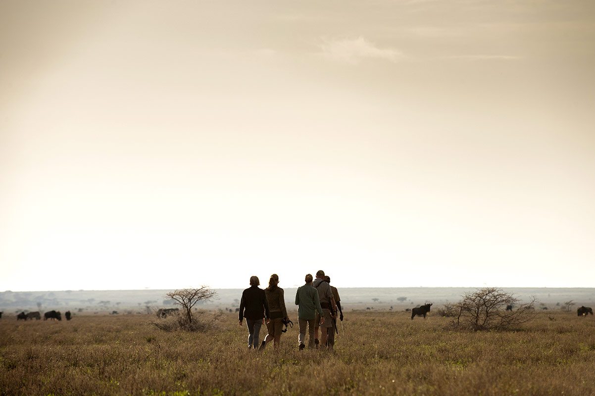 Tanzania walking Safaris