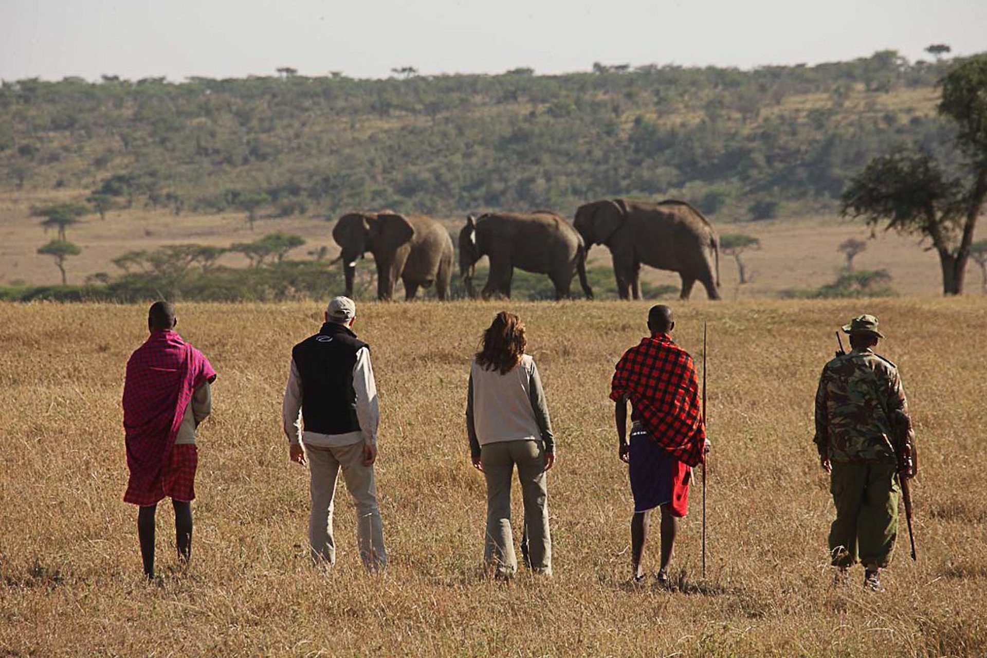 amazing-walking-Safari