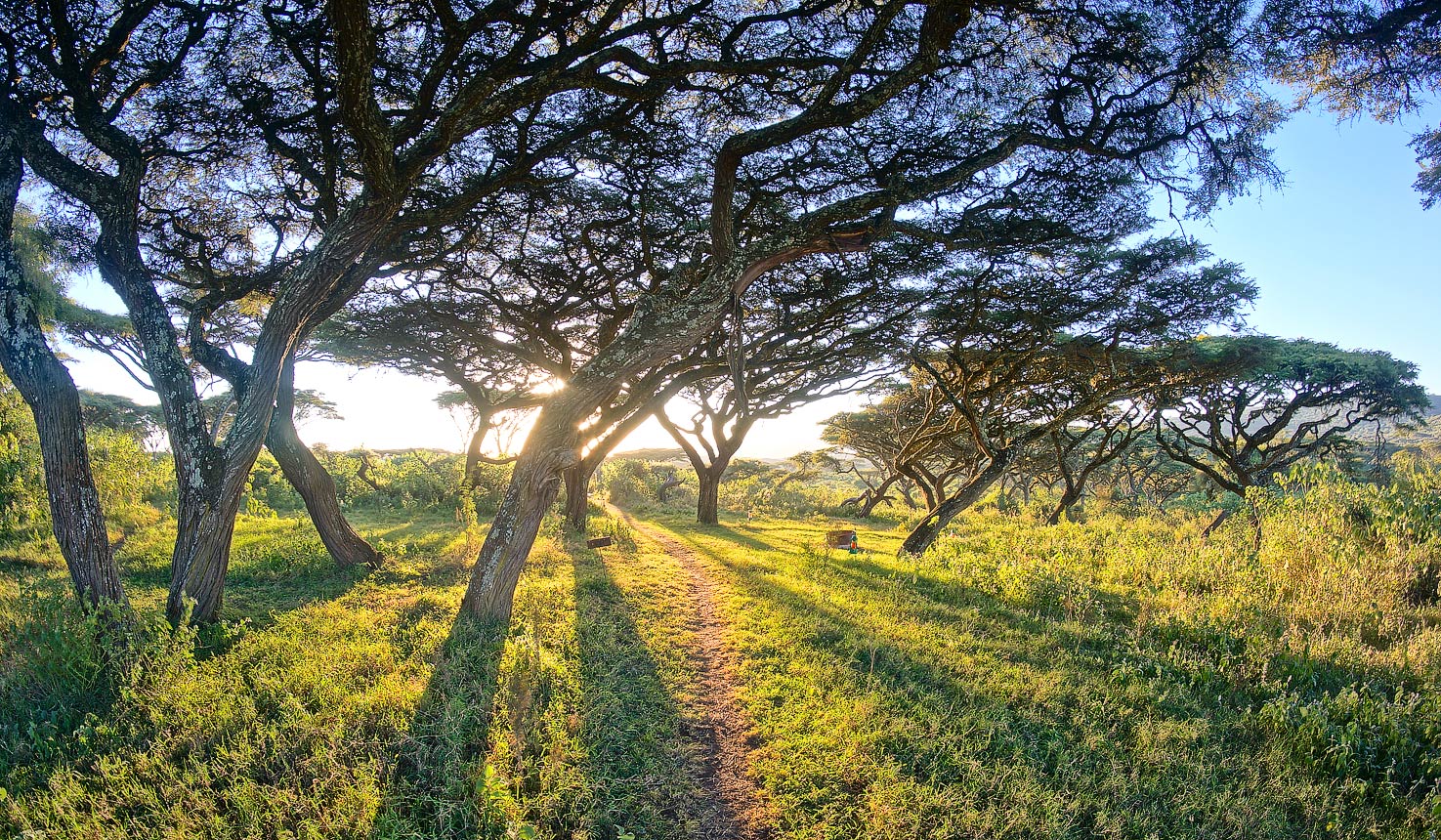 ang'ata camp Bush Walks