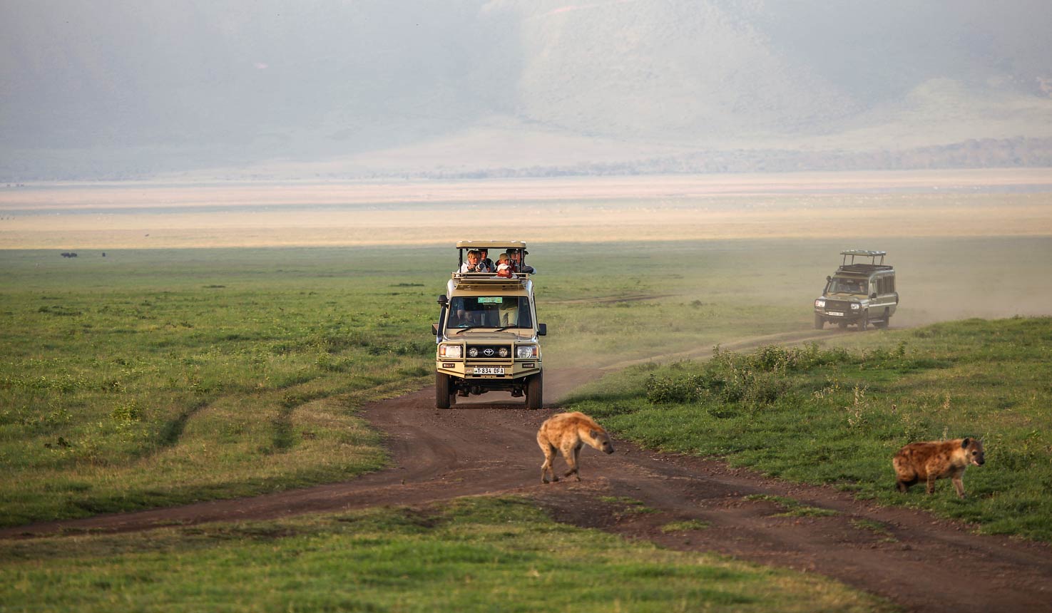 angata-ngorongoro-camp safari