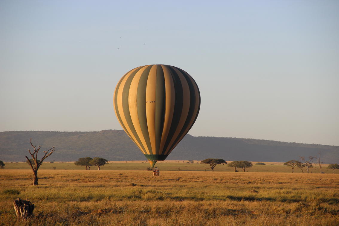 balloon safari
