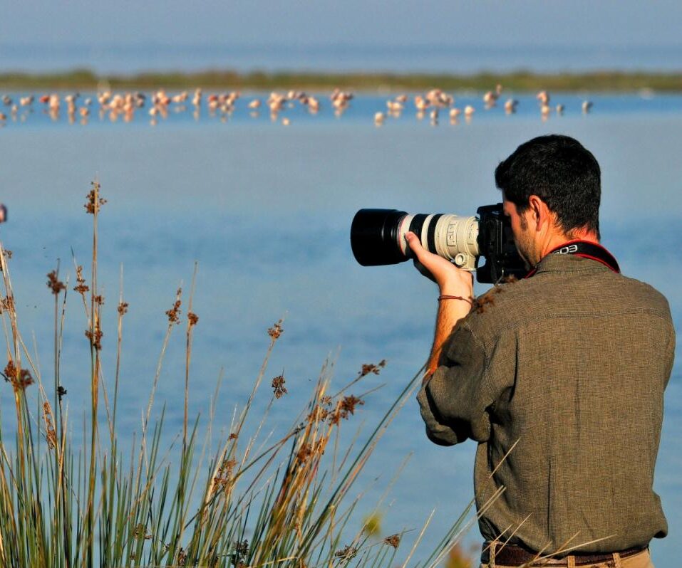 birdwatching