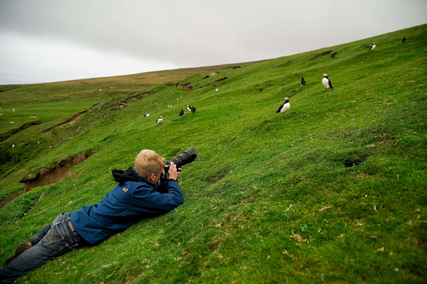 birdwatching