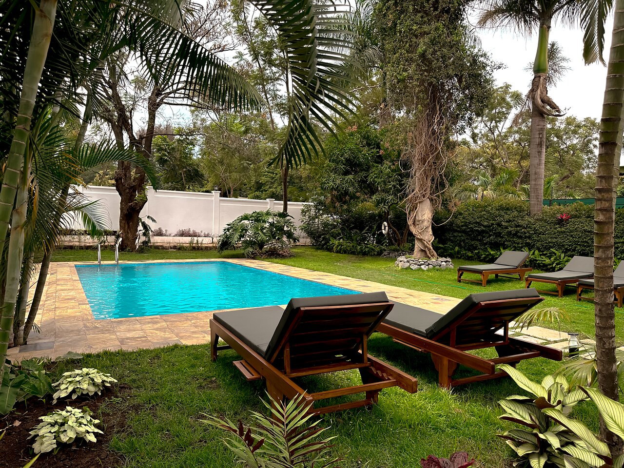brubru-lodge pool