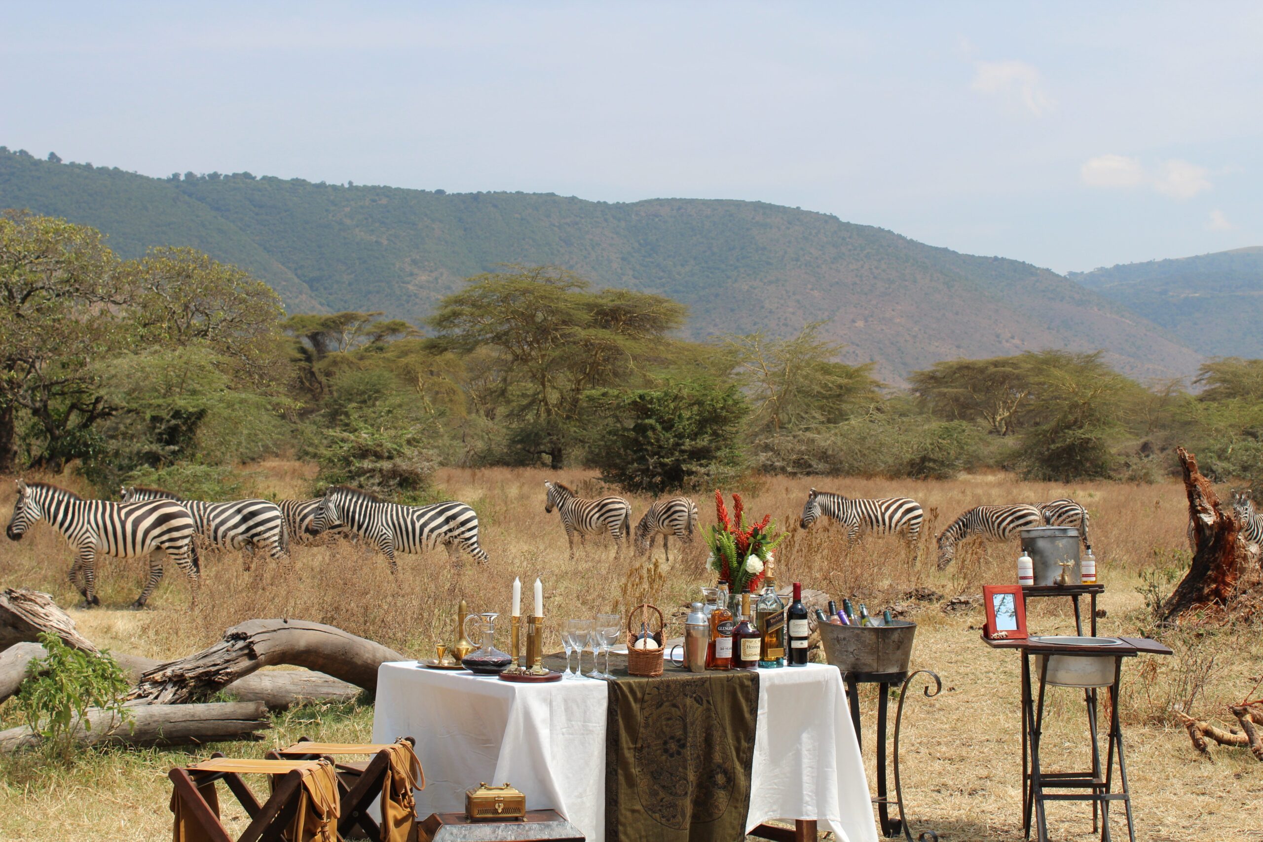 bush dinner
