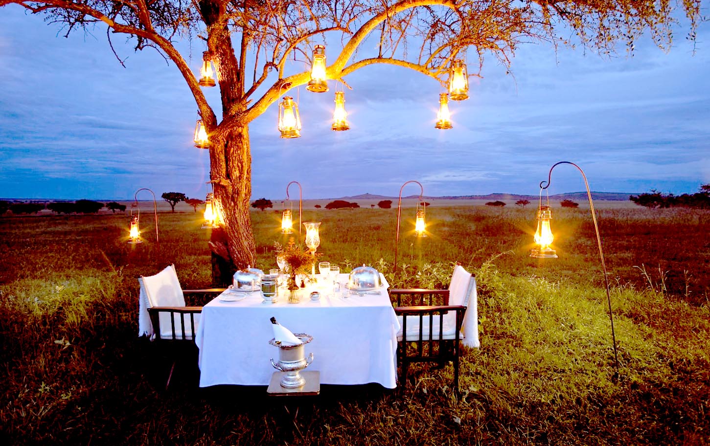 bushdinner