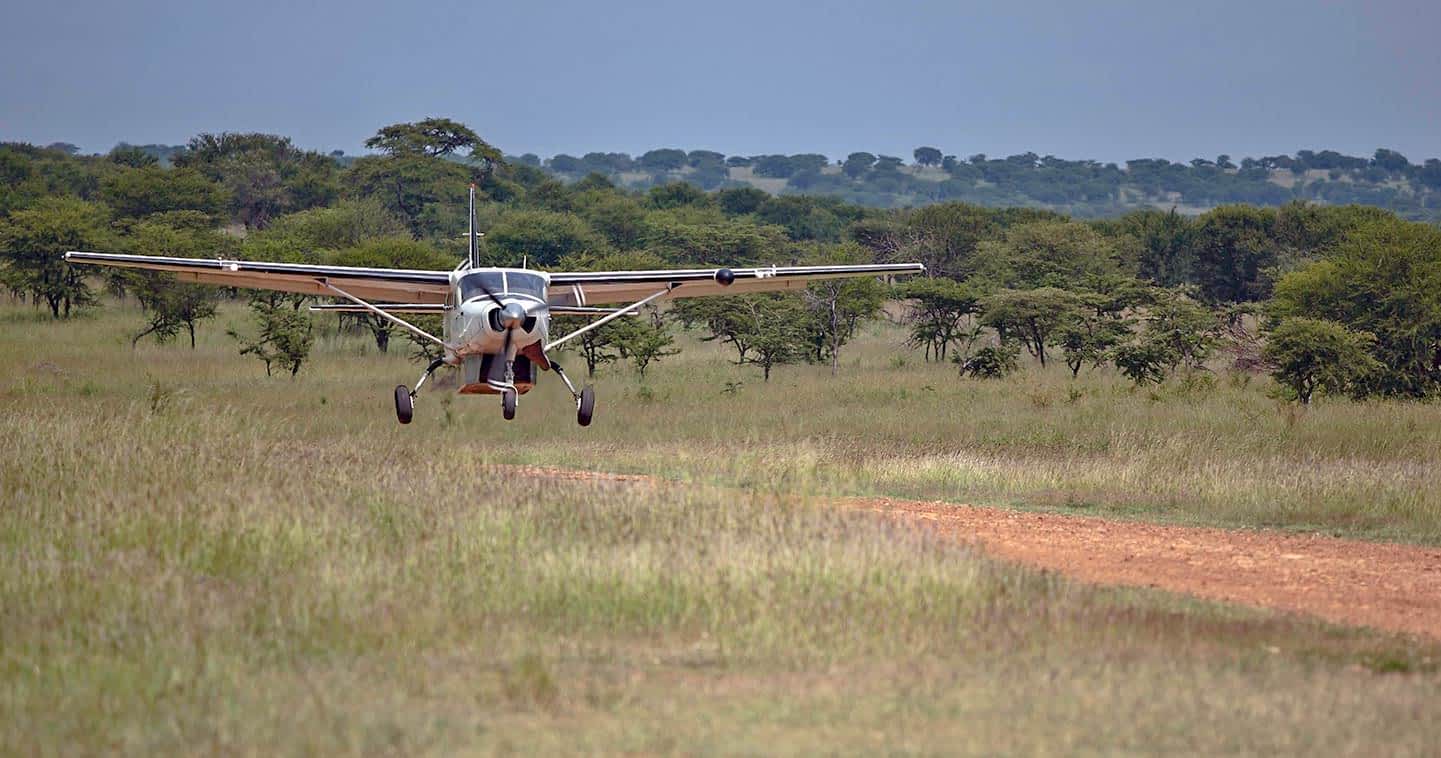 Fly to Serengeti National Park
