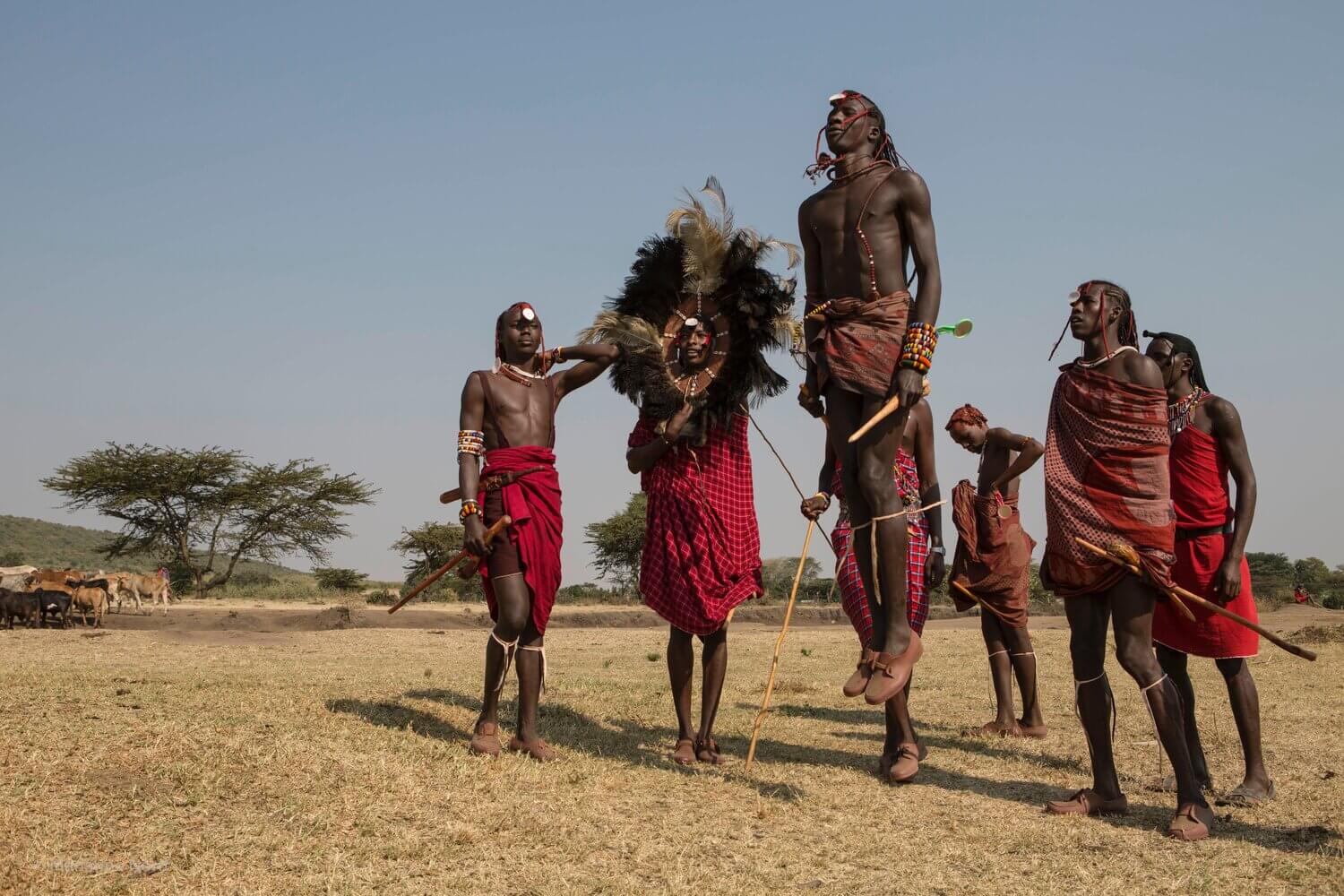 culture performance