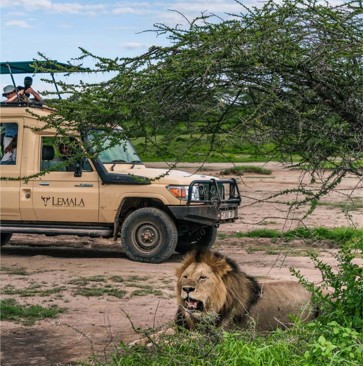 lemala game drive