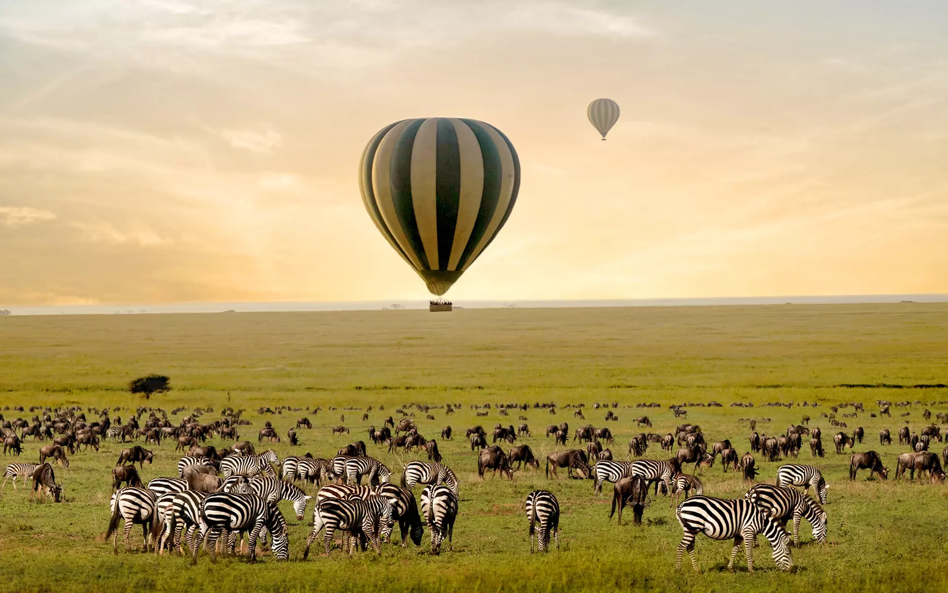 masek baloon