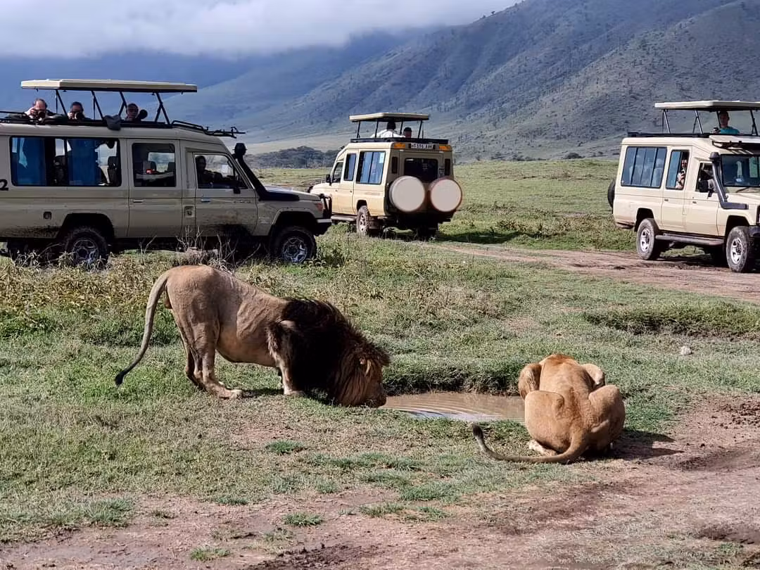 ngorongoro crater game drive