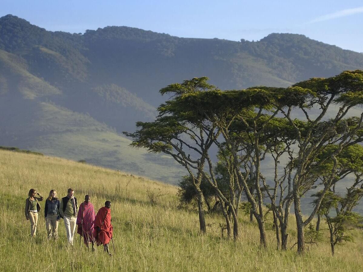 ngorongoro-crater walking safari