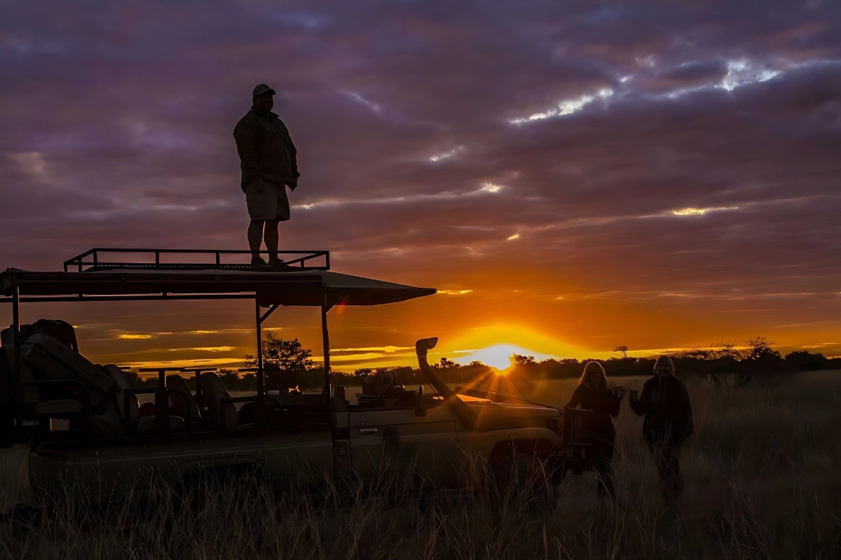 night game drive
