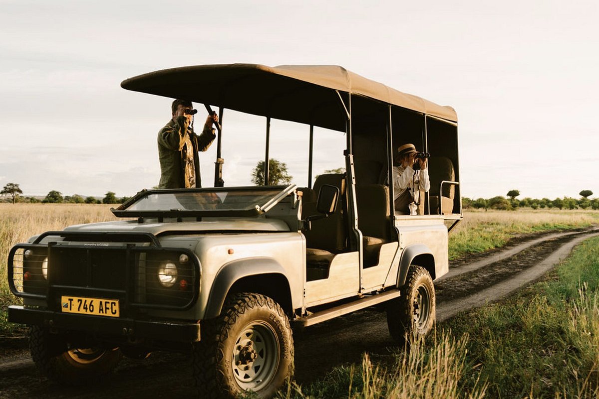 tarangire-safari-lodge. game drive