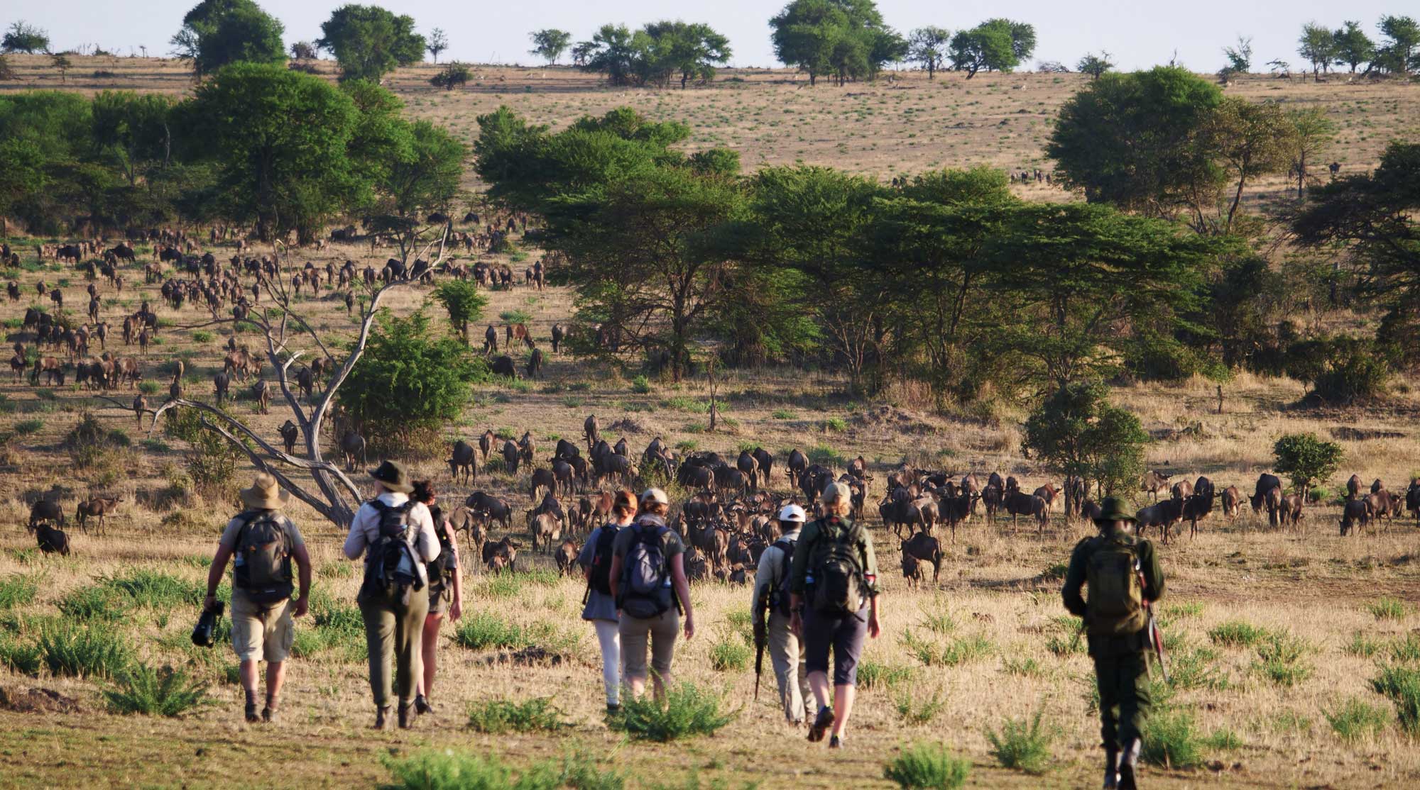 walking safari at serengeti