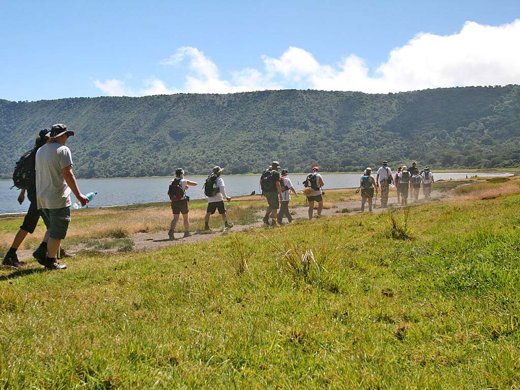 walking safari