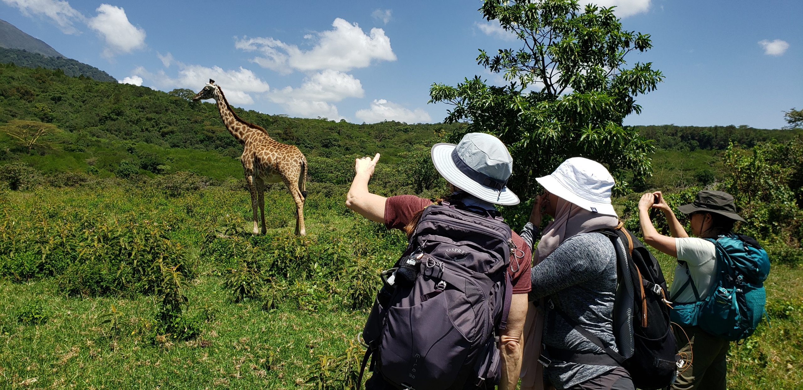 Arusha National Park - Day Trip