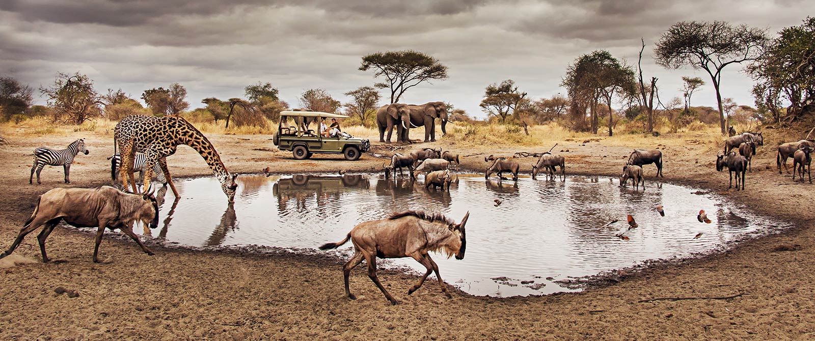 Enjoy Game viewing in serengeti