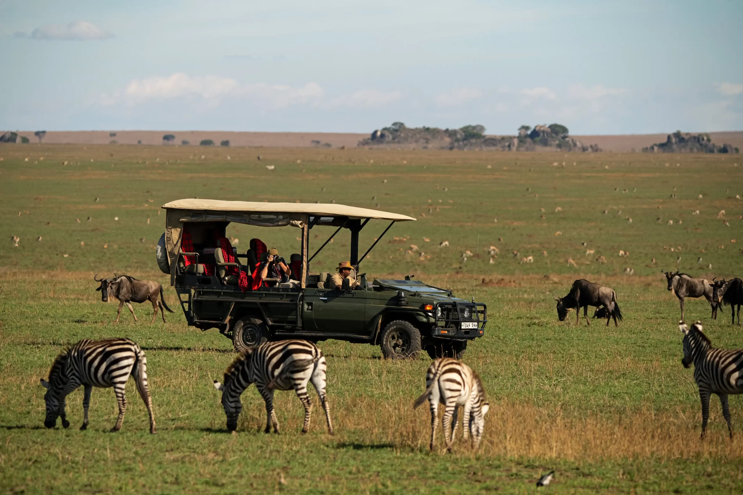 Game Drive & Relaxation - Central Serengeti
