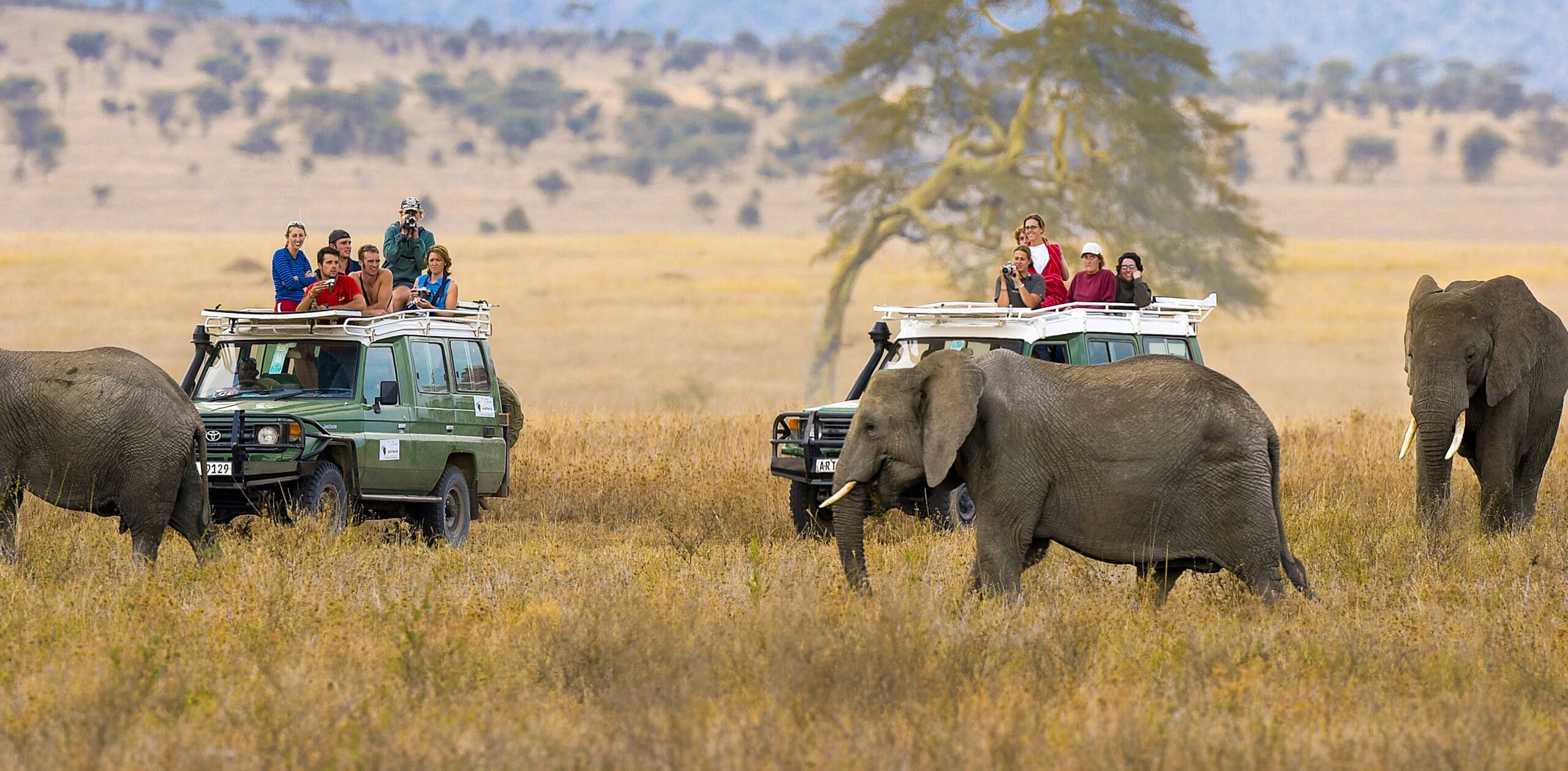 Goodbye Tanzania