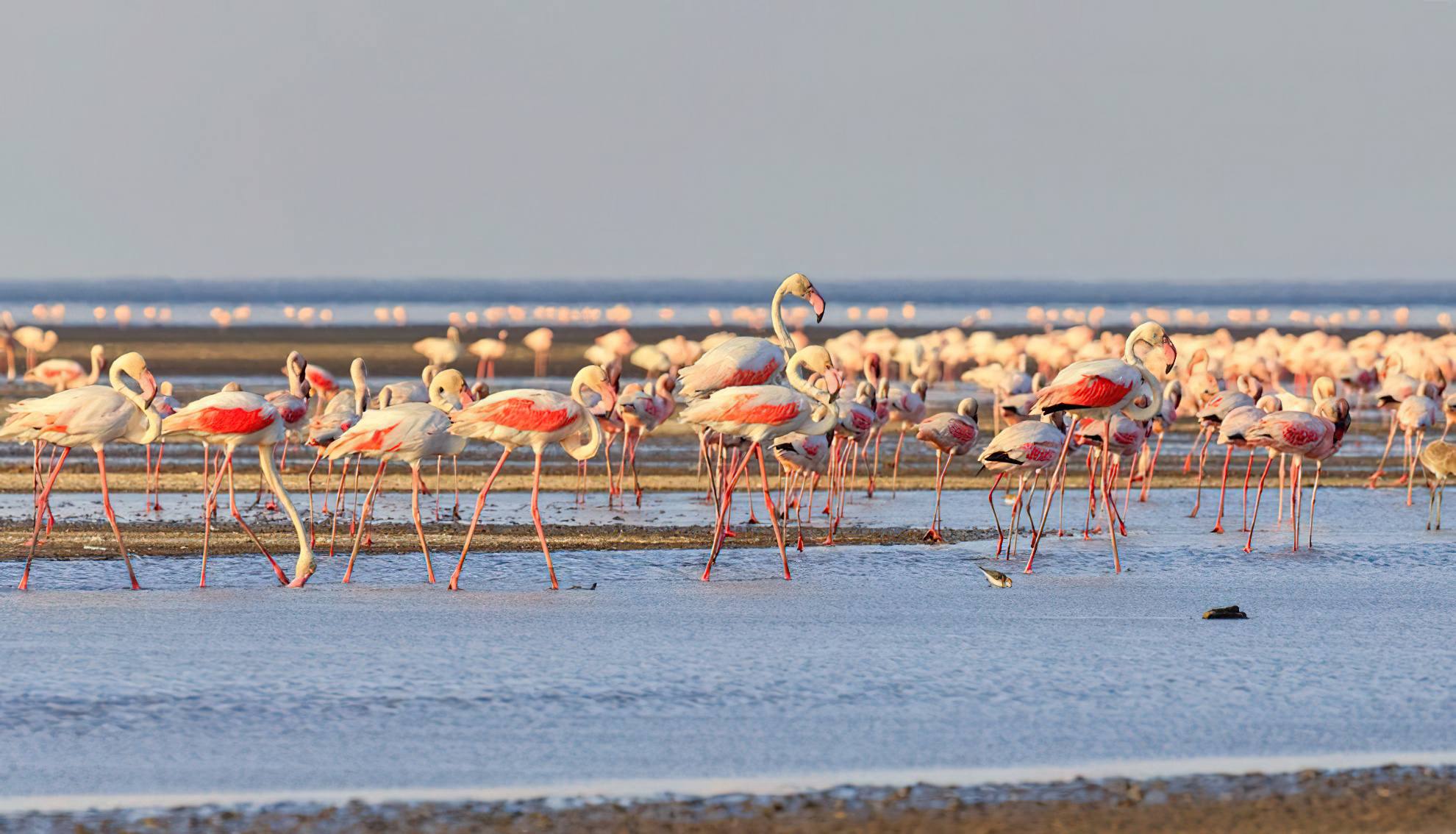 Lake Natron