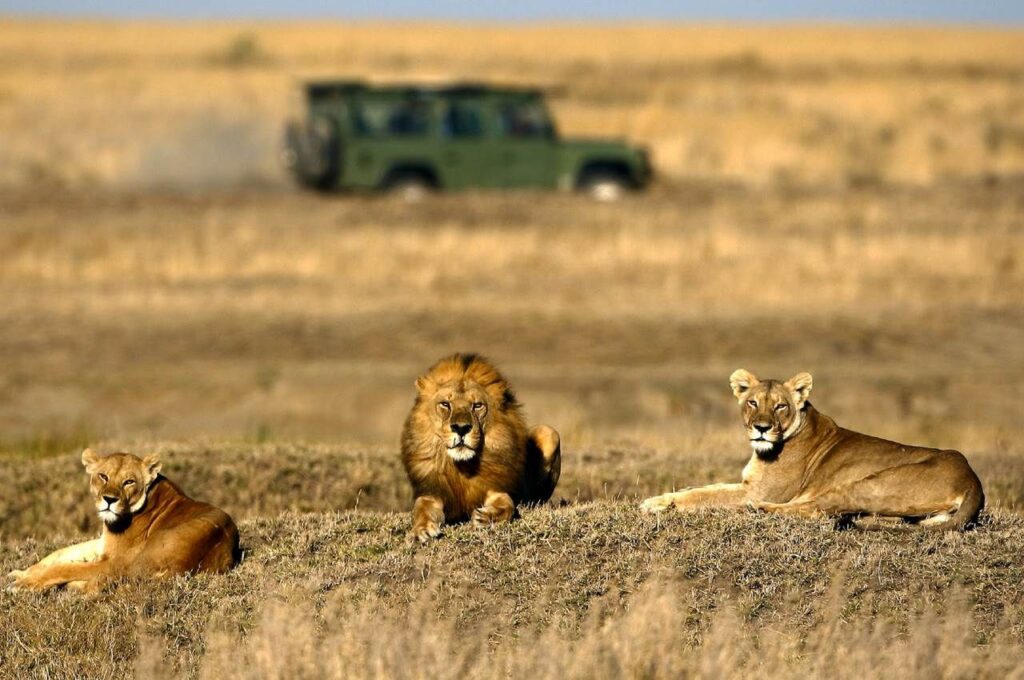 Northern Serengeti National Park