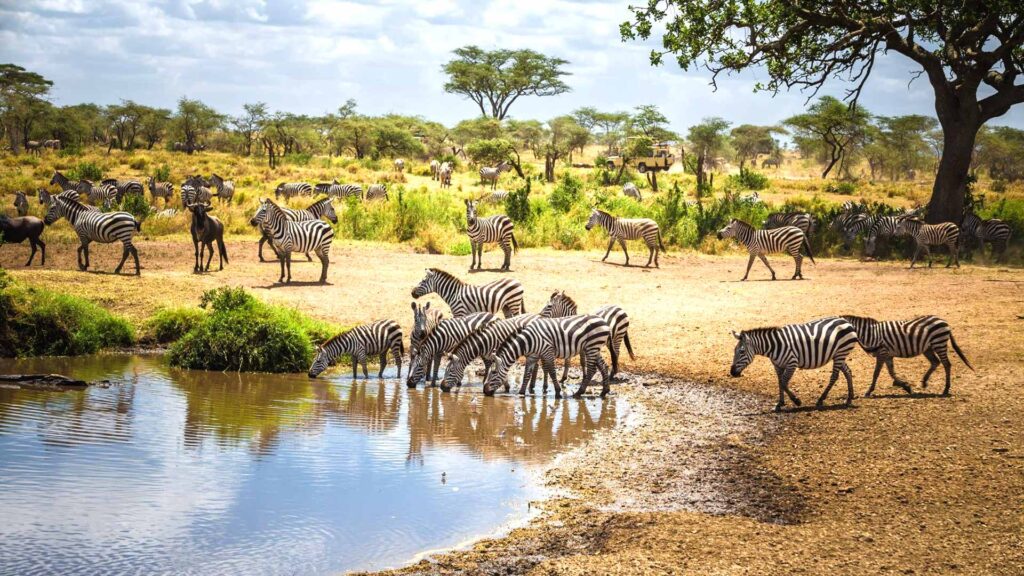 Tanzania Wildlife Safari & Canoeing Tour