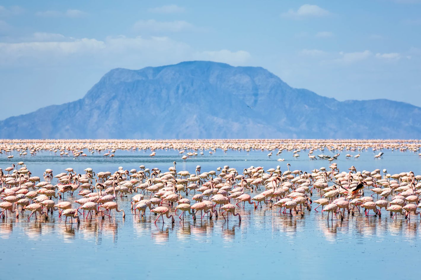 lake-natron