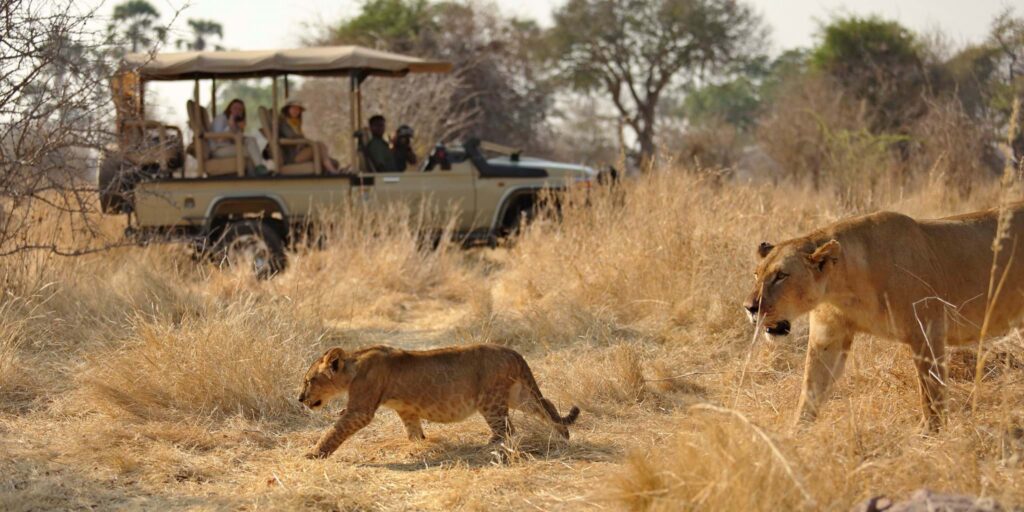 Game drive