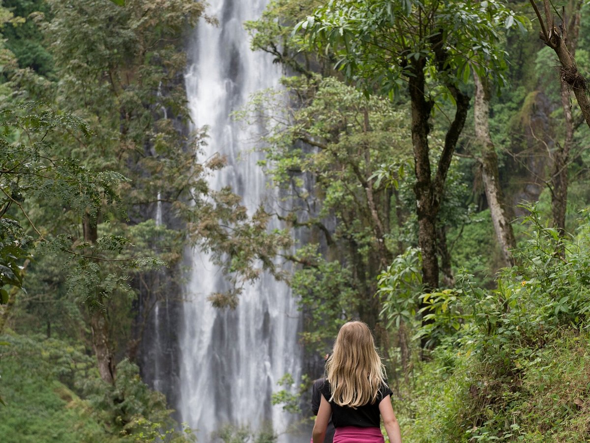 Materuni Waterfalls and Coffee Tour