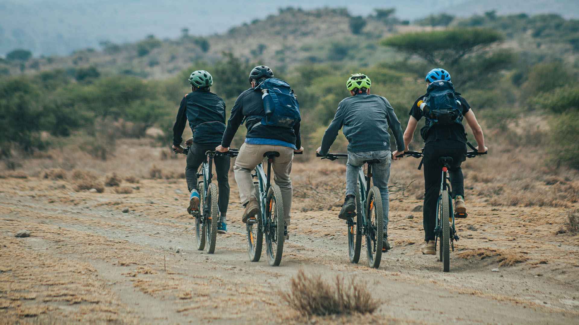 Bicycle Rentals