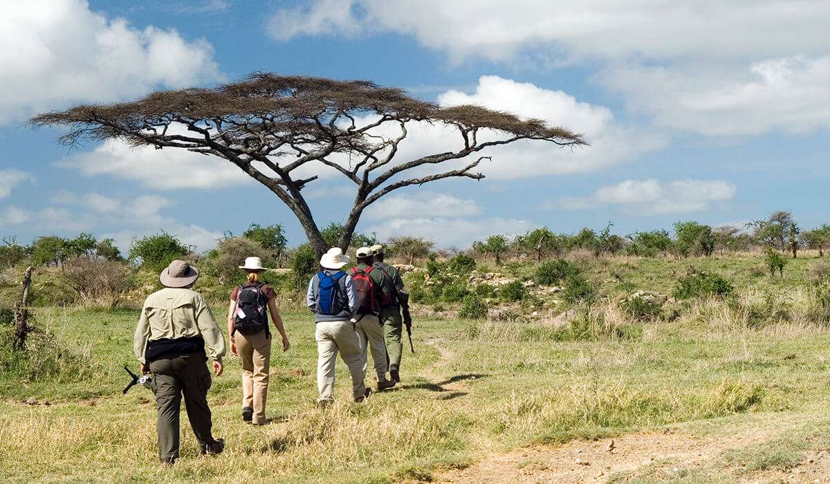 walking safari