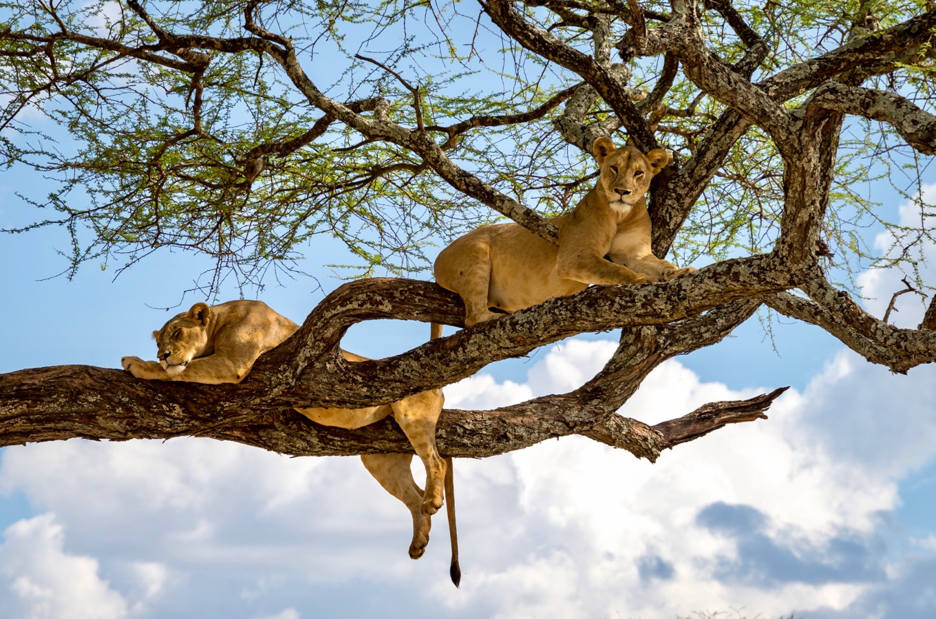 Lake Manyara