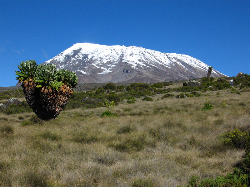Marangu route 1