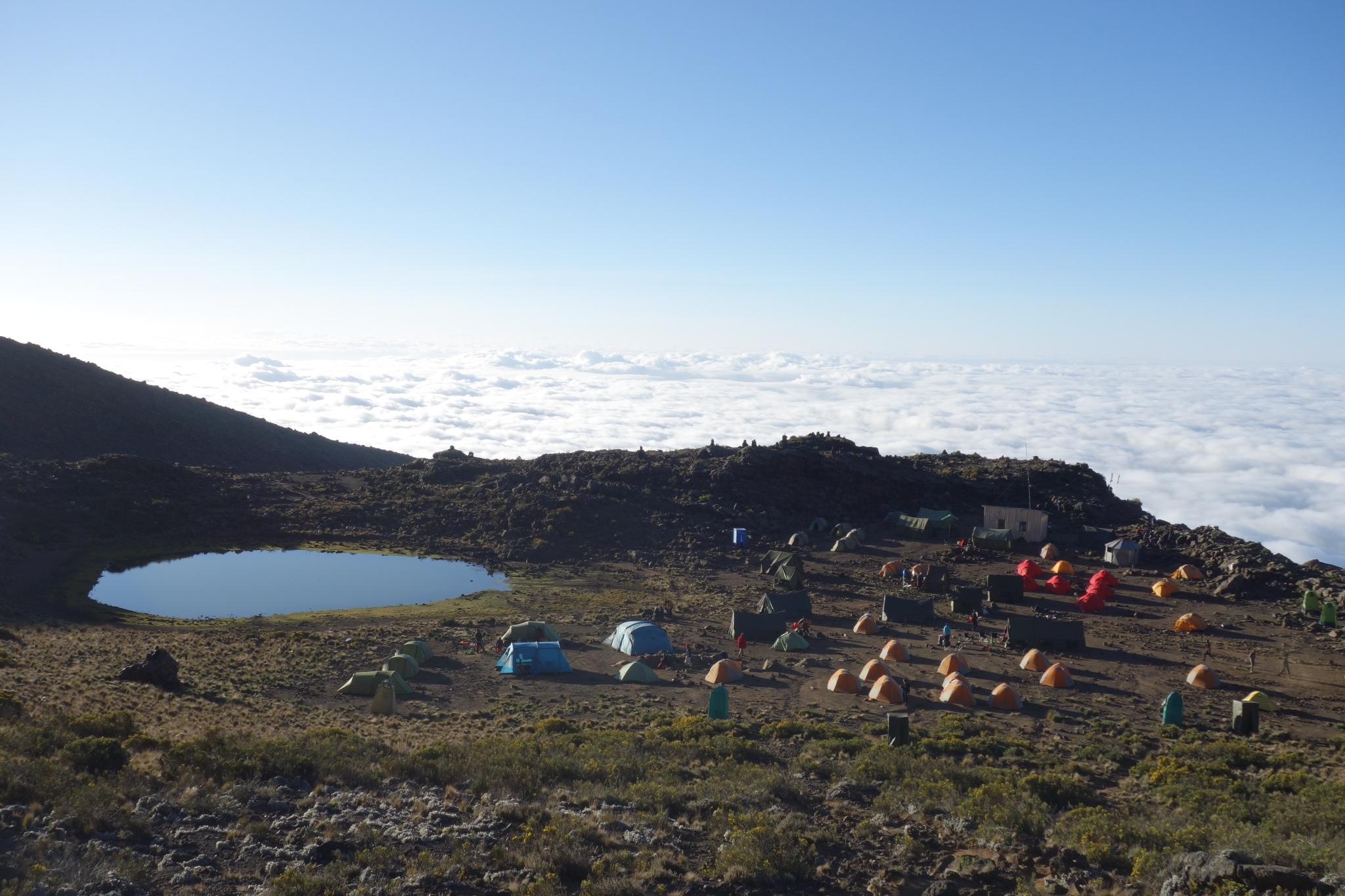 Mawenzi camp