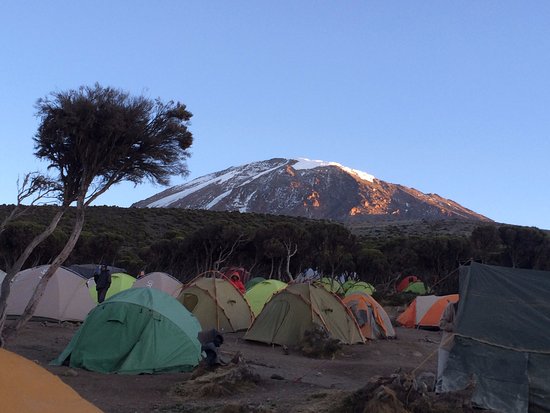 Millenium camp