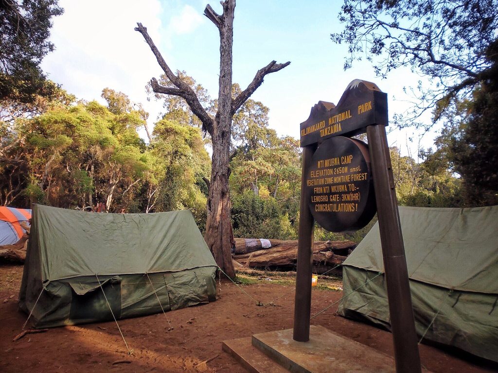Mti mkubwa camp