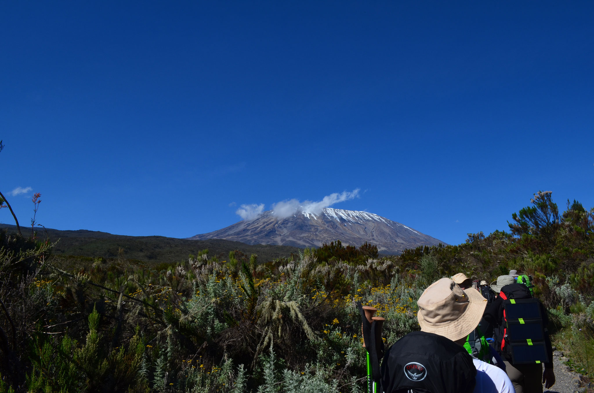 6 Days-Climb Kilimanjaro via Rongai Route
