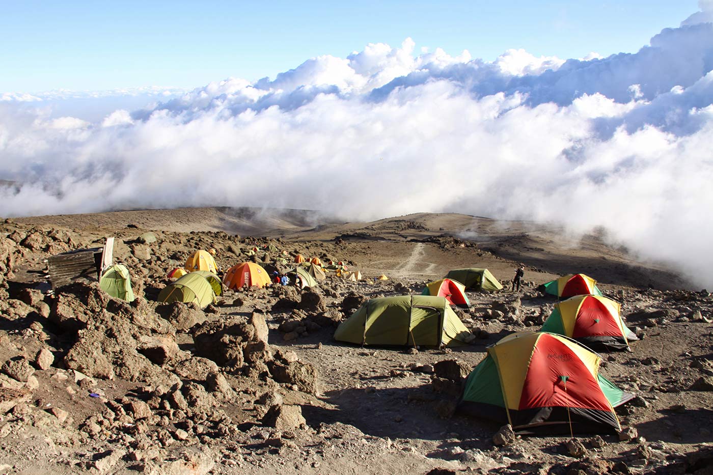 6 Days-Climb Kilimanjaro via Rongai Route