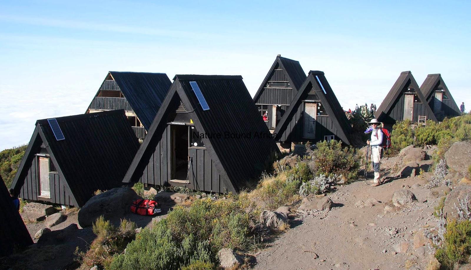 Horombo Hut