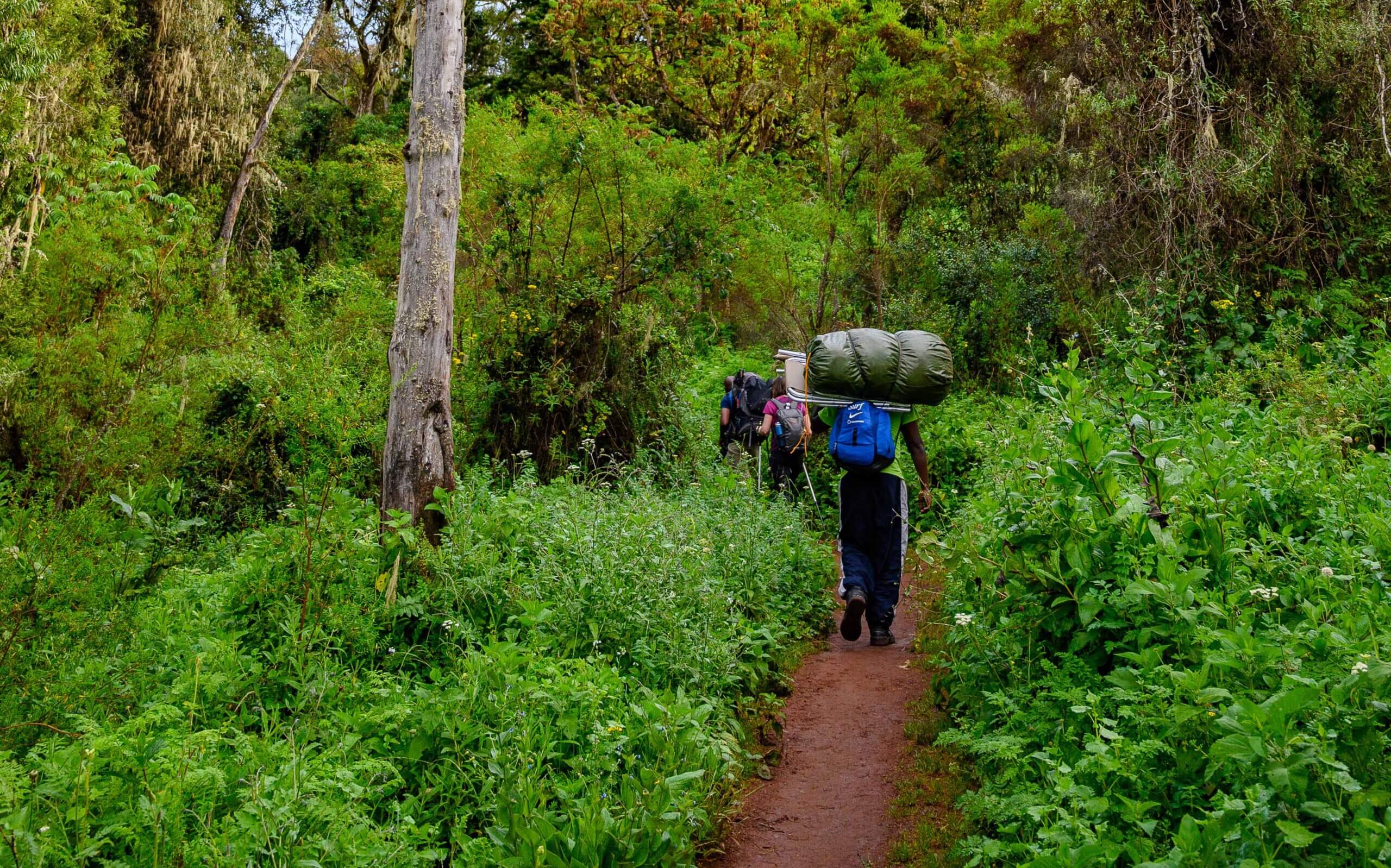 7 Days-Kilimanjaro Climb via Lemosho Route