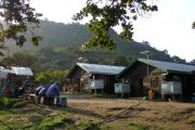 Tanzania Safari Tours